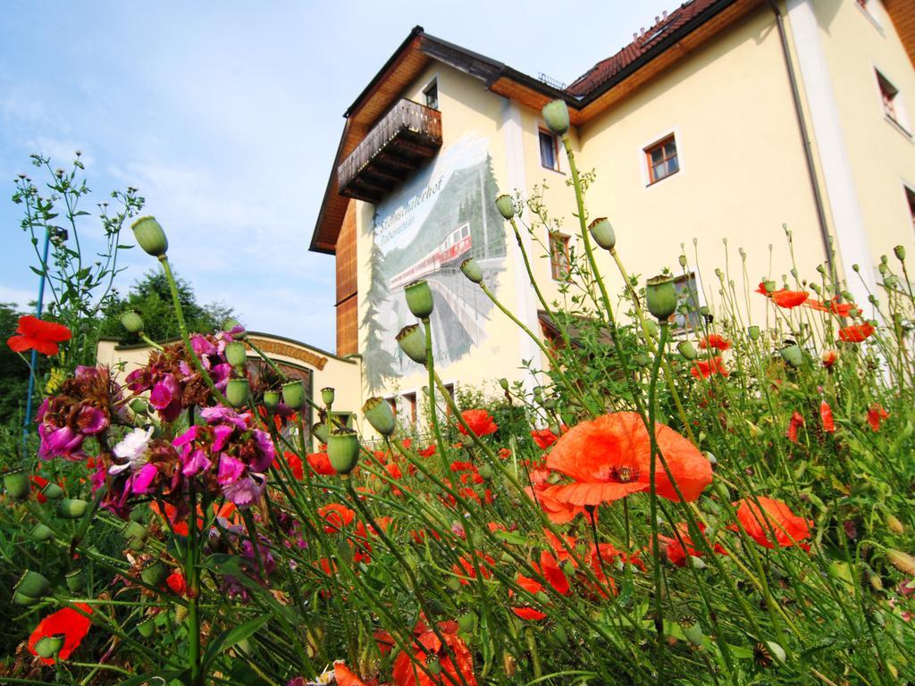 Steinschalerhof Otel Warth  Dış mekan fotoğraf